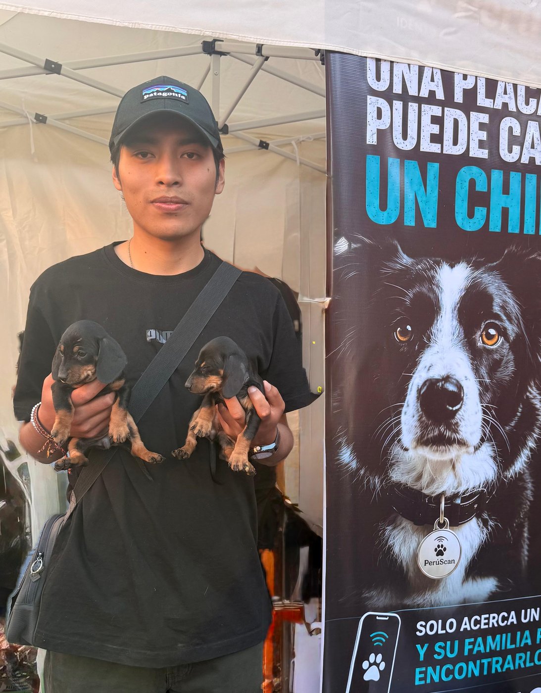 Mascota protegida con PerúScan