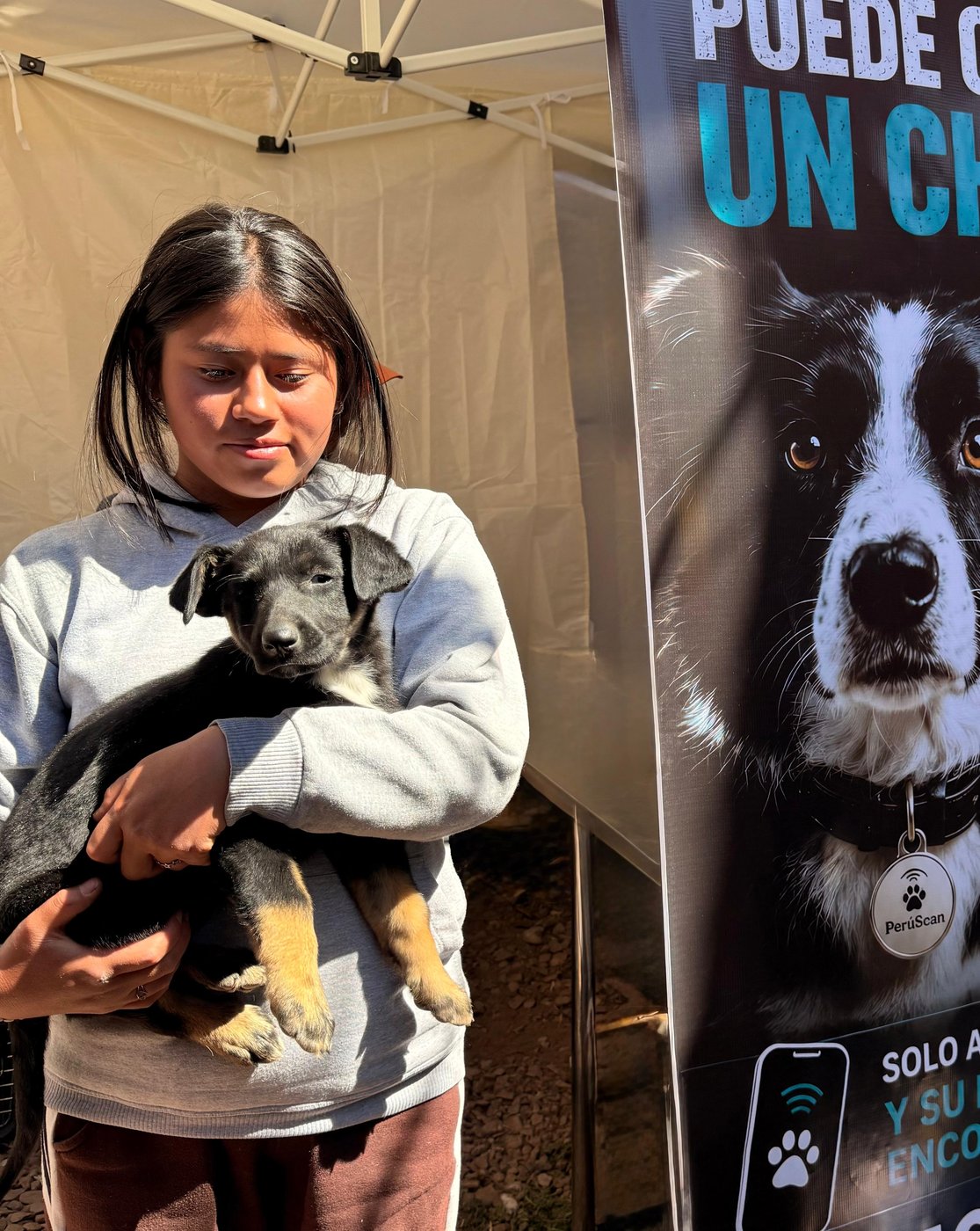 Mascota protegida con PerúScan