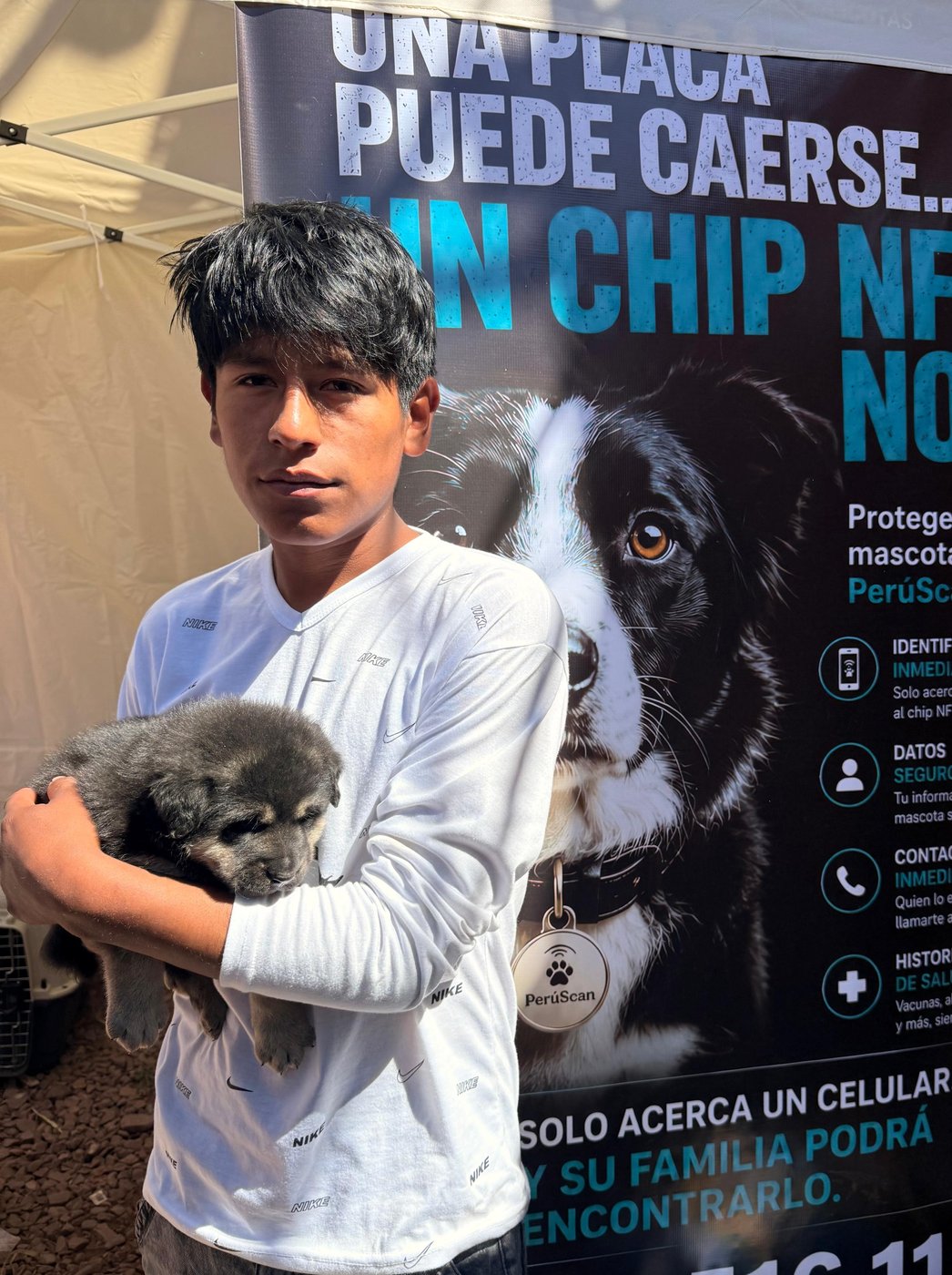 Mascota protegida con PerúScan