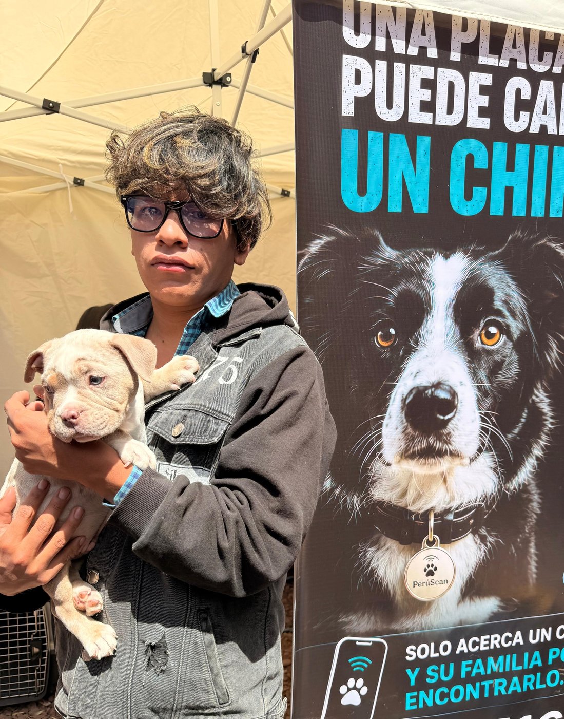 Mascota protegida con PerúScan
